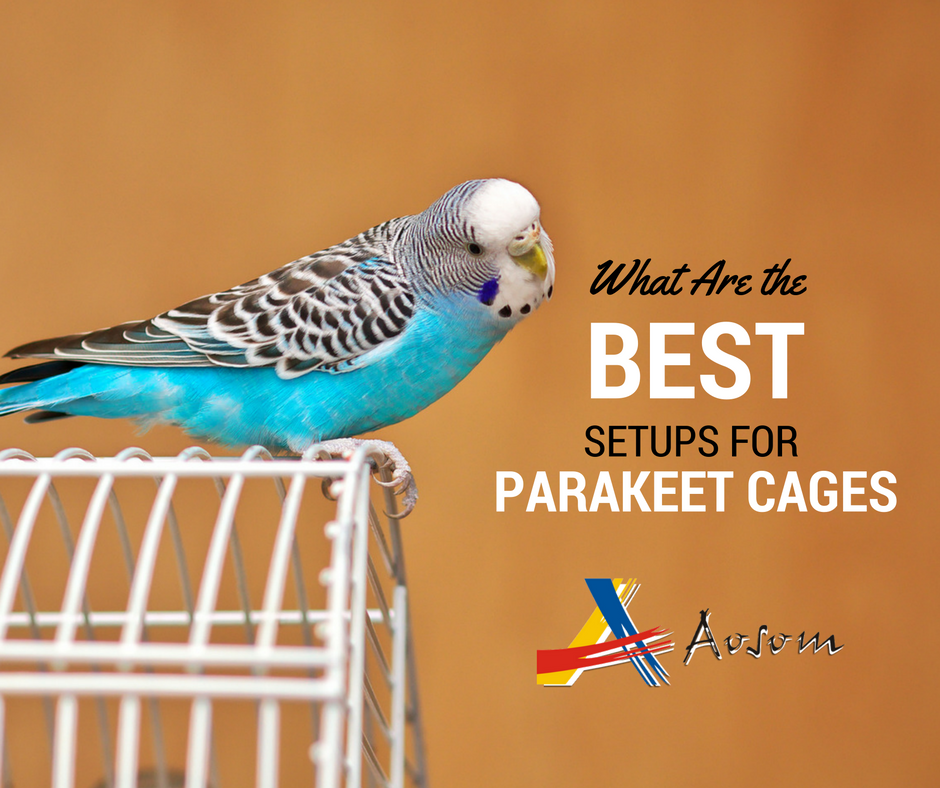 parakeet cages article from aosom